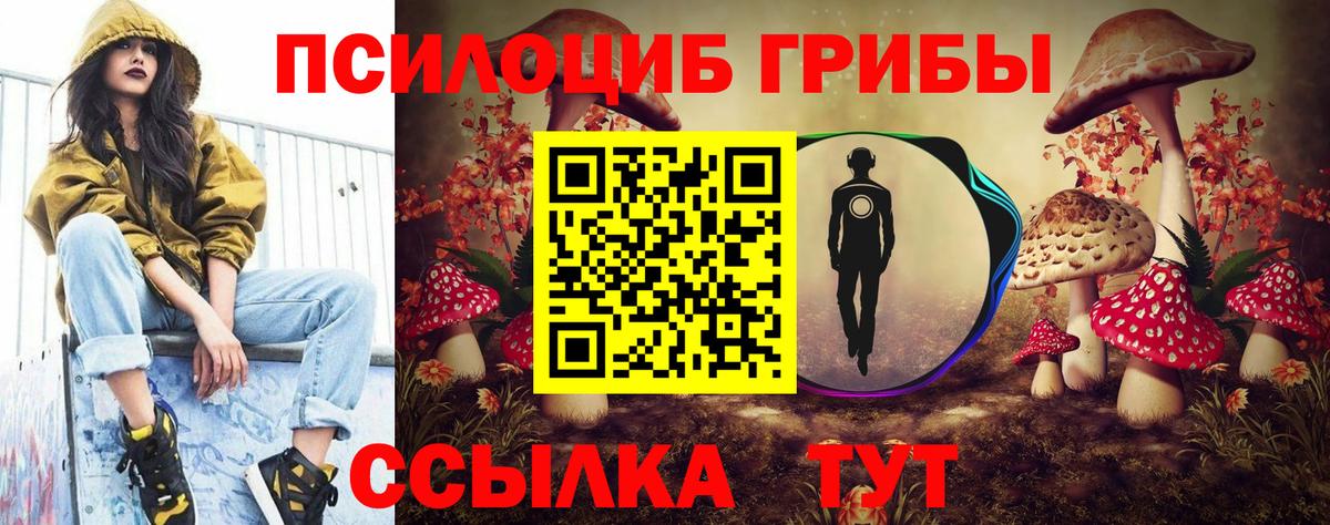 Псилоцибиновые грибы мухоморы  Вход с VPN  Псилоцибиновые грибы GOLDEN TEACHER  Сорочинск 